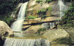 san carlos