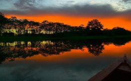 Amazonas