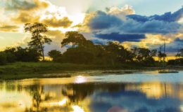 amazonas