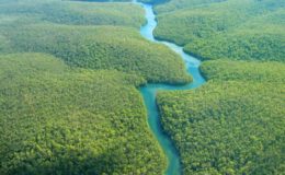 amazonas