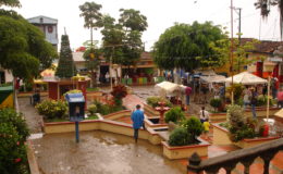 betulia