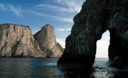 Malpelo