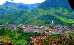 Jardín
