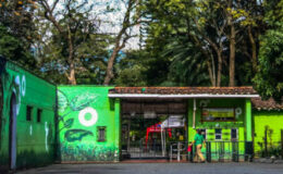 Zoológico