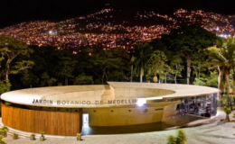 jardín botánico